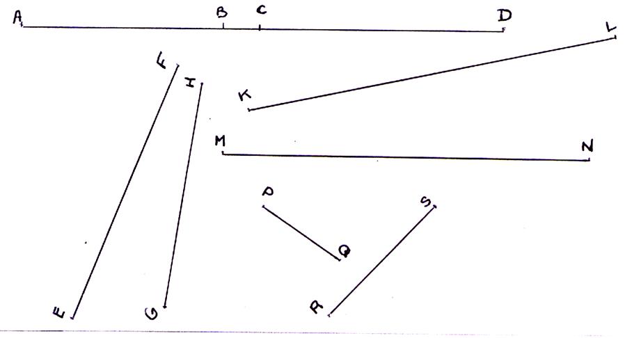 segm1