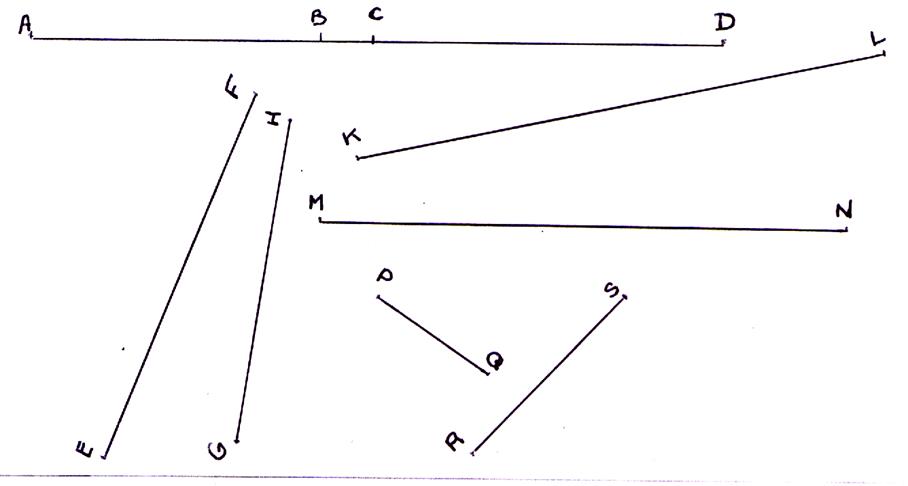 segm1