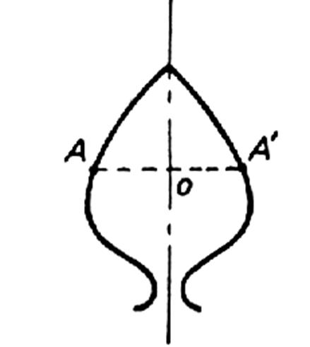 doc2orthogonale