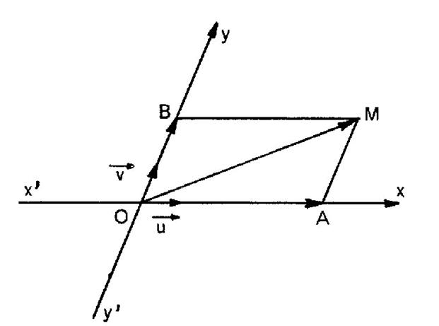 vecteur016