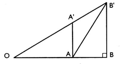 tapb1