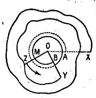 cercl_sens008