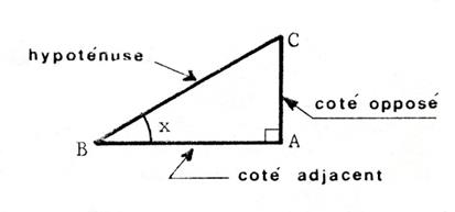 trigo006