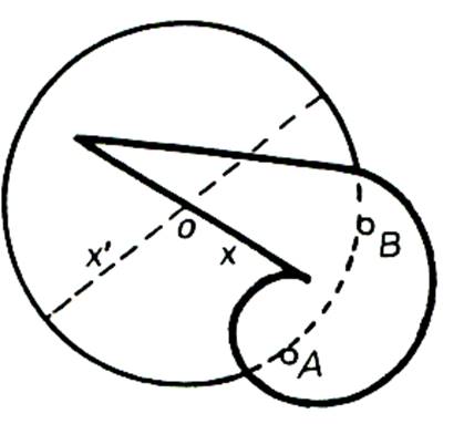ccerc1