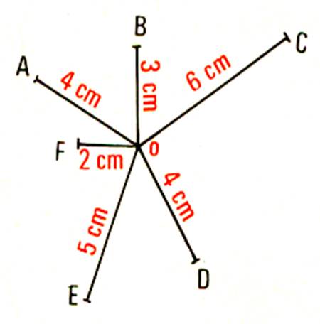 cecacconcen