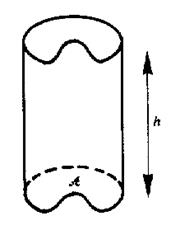 cyl2