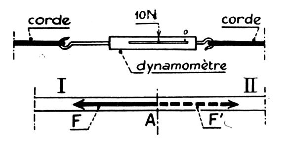 mesurtir