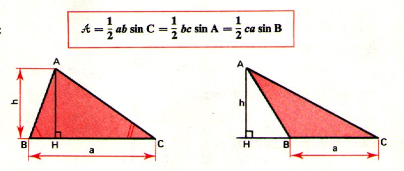 trigo