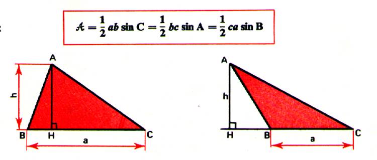 trigo