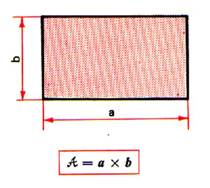 Aire Du Rectangle